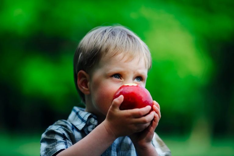 article-sens-du-gout