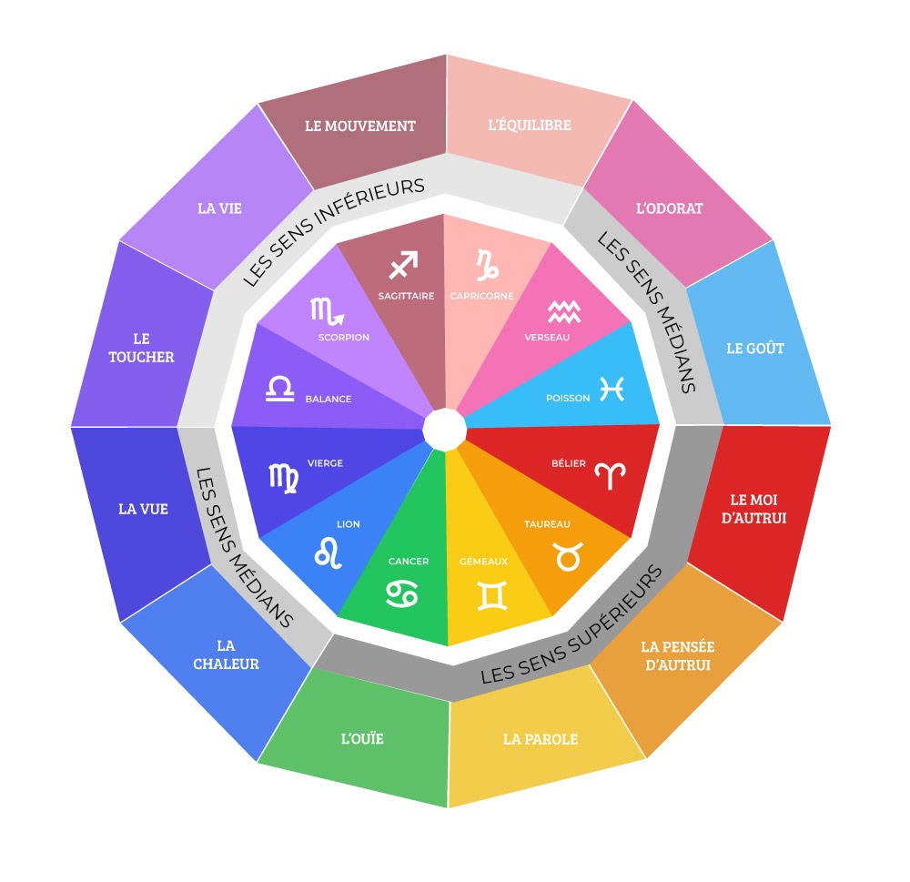 Les 12 signes du zodiaque, en lien avec les 12 sens